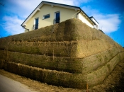 10 Tage nach Arbeitsabschluss, fängt das Grün der Stützmauer bereits an zu sprießen und durch die armierte Erde sehen wir bereits die Bäume wachsen.