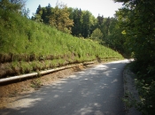 BVC- System: erfolgreiche Lösung gegen Erosion. Das Material rutscht nicht mehr auf die Straße.