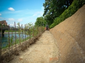 Links – neu gepflanzte Weißbuchenhecke / rechts - BVC