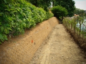 Bodoča zelena brežina