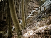 Urejanje vodotokov v sozvočju z naravo