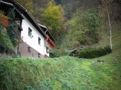 Obstoječe rastje popolnoma skrije poseg človeka