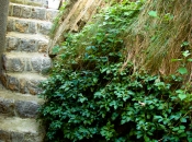 Prej strmi krušljivi kamniti skladi so se spremenili v človeku prijazen zeleni breg Prej strmi krušljivi kamniti skladi so se spremenili v človeku prijazen zeleni breg