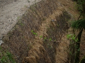 Ustalitev nestabilnega zemljišča pod cesto