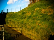 Zelena brežina (BVC in BVS)