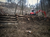 Zajezitev plazeče zemljine z lesenimi kastami iz  hlodov