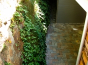 Erosionsgefährdete steile Gräben hinter Häusern werden zu üppig bewachsenen grünen Naturwänden