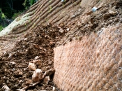 Oben – BVS; unten - BVC