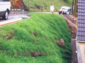 Begrünung einer steilen Grube für das Haus Begrünung einer steilen Grube für das Haus