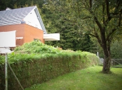 Öko-Stützmauer bereits mit Vegetation bewachsen
