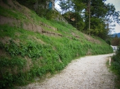 Natürliche Stützmauer