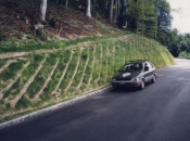 Durch Ingenieurbiologie wird das Problem der Erdabtragung gelöst Durch Ingenieurbiologie wird das Problem der Erdabtragung gelöst