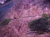 Mit Hilfe unserer Systeme gedeiht die Vegetation auch unter schlechtesten Bedingungen Mit Hilfe unserer Systeme gedeiht die Vegetation auch unter schlechtesten Bedingungen